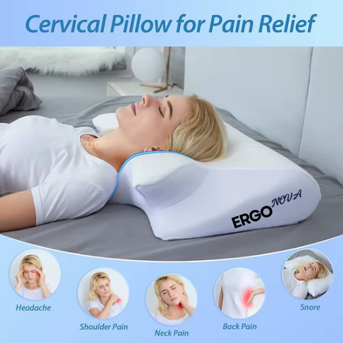 ERGONOVA™ Premium Comfort Pillow