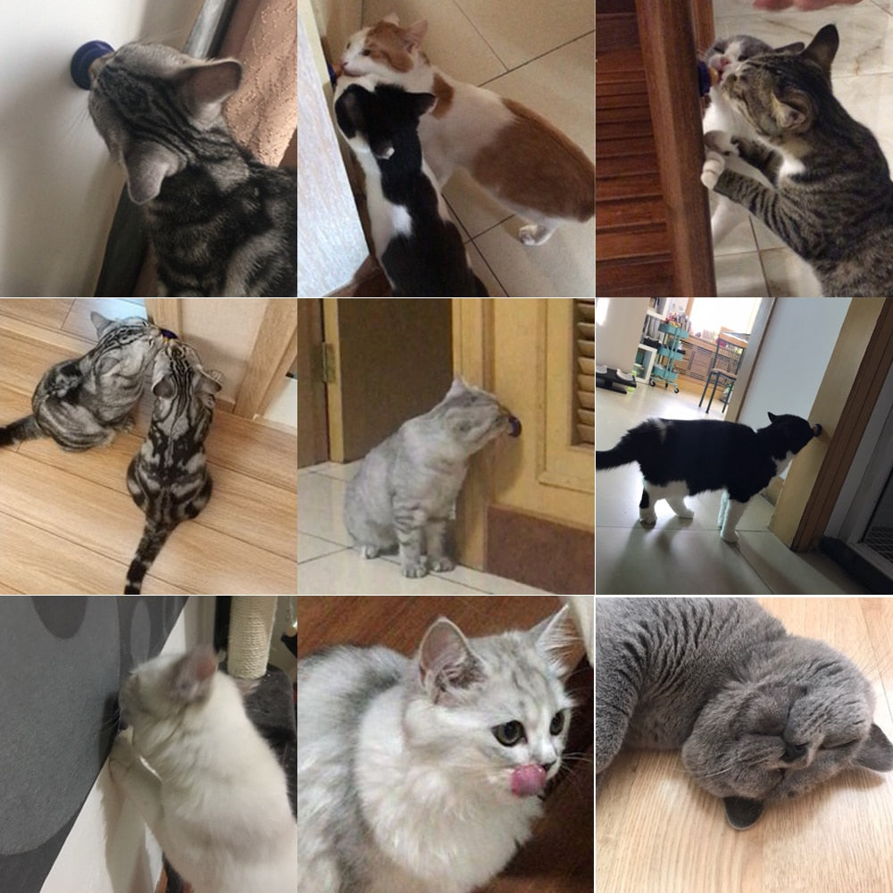 Natural Toys For Cats Healthy Kitten Treating