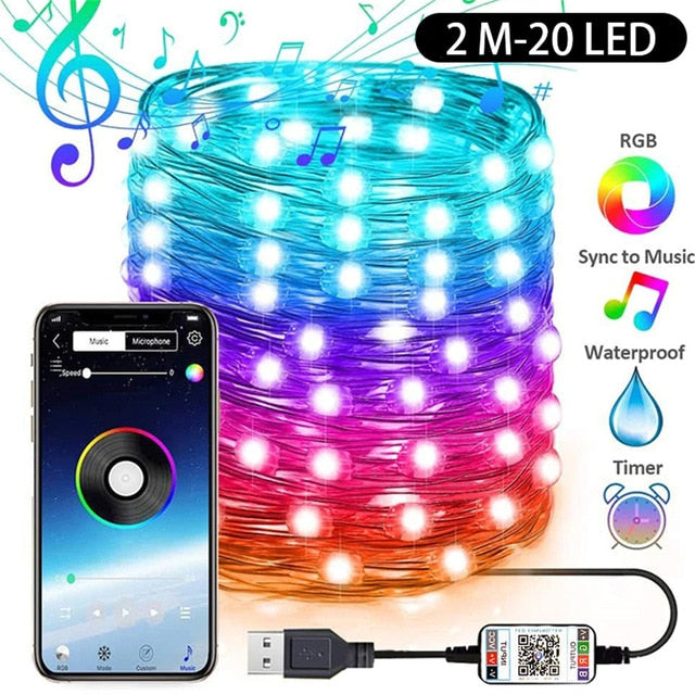 LED Light Bluetooth App Control Waterproof Outdoor Christmas Decoration